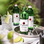 766955_GIN-TANQUERAY-LONDON-DRY---TONIC-275ML_2