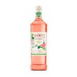 766307-vodka-smirnoffinfusionswatermelon-998ML_1