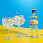 727184-gin-gordons-750ml_3