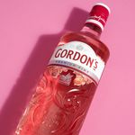 727184.734136_KIT-Combo-Gin-Gordons-London-Dry-Pink_4