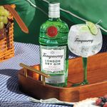 KIT_724986_V28-Kit-Gin-Tanqueray-London-Dry-2tacas_3