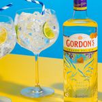 KIT_724986_V54-Combo-Gin-Tanqueray-Gordons-London-Dry_3