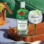 KIT_724986_V54-Combo-Gin-Tanqueray-Gordons-London-Dry_4