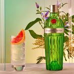 KIT_725038_V179-Combo-Gin-Tanqueray-Ten-750ml-2unidades_4