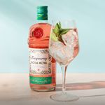 gin-tanqueray-bossa-nova-700ml_3