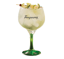 Tanqueray & Tonic