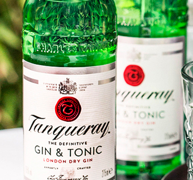 Tanqueray london dry gin & tonic