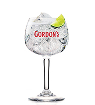 Drinks para encontro com amigos Gordon's London Dry & Tonic